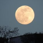 lune