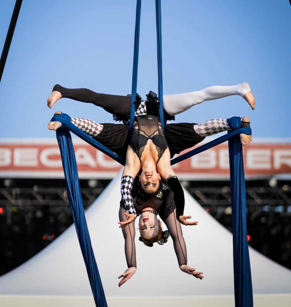 Aerial Group