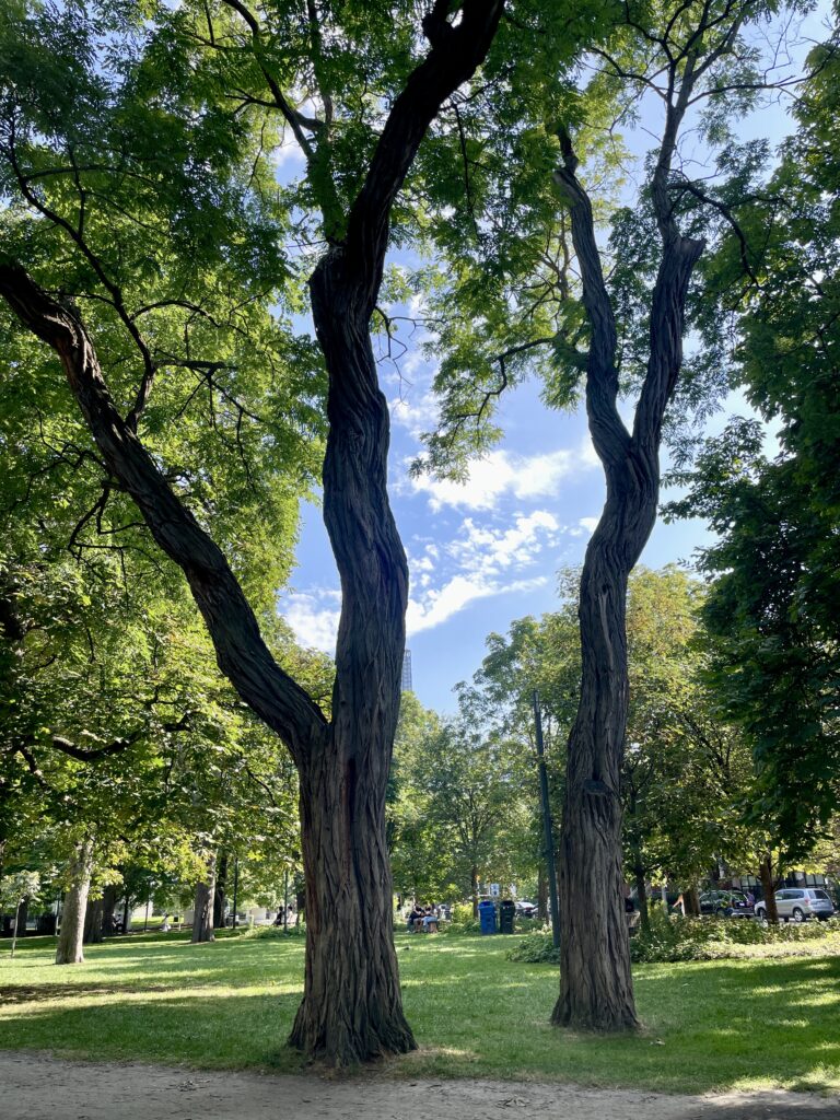 nature