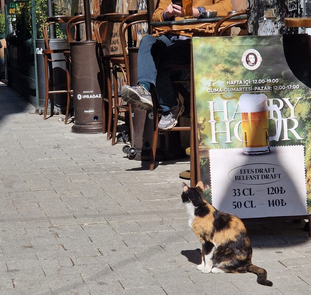 Istanbul chats