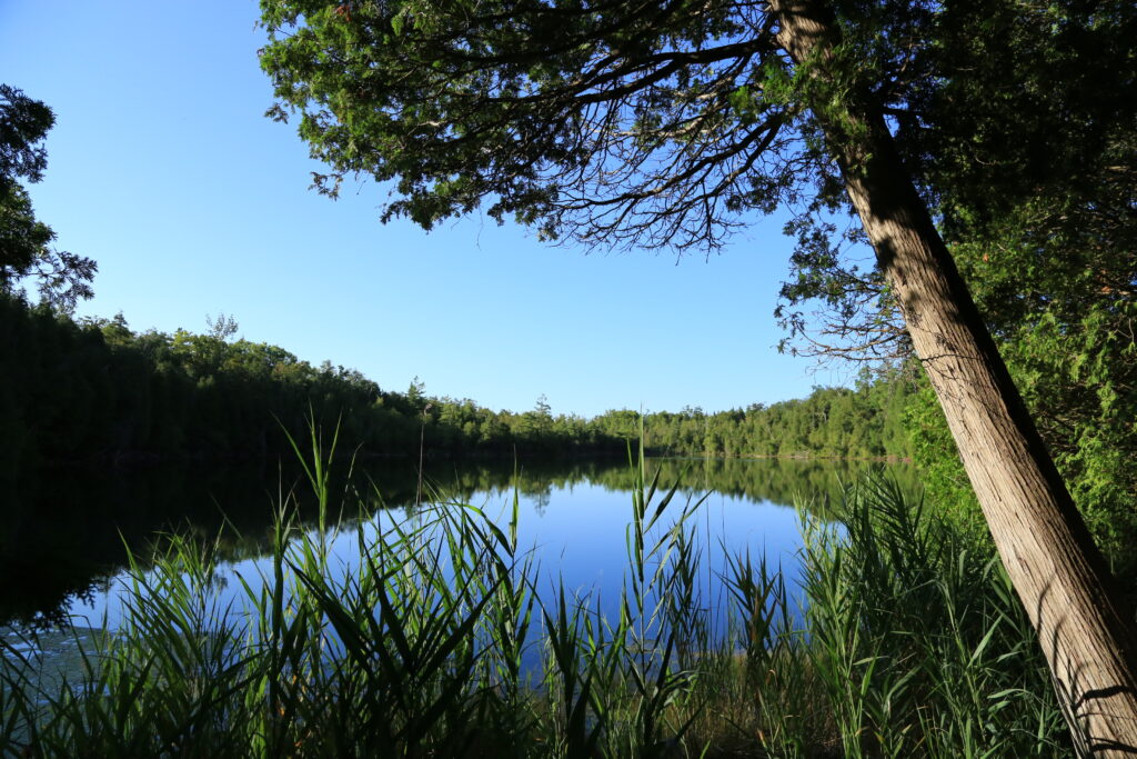 Conservation Ontario, aires naturelles protégées