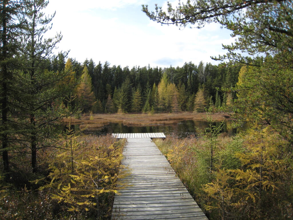 Conservation Ontario, aires naturelles protégées