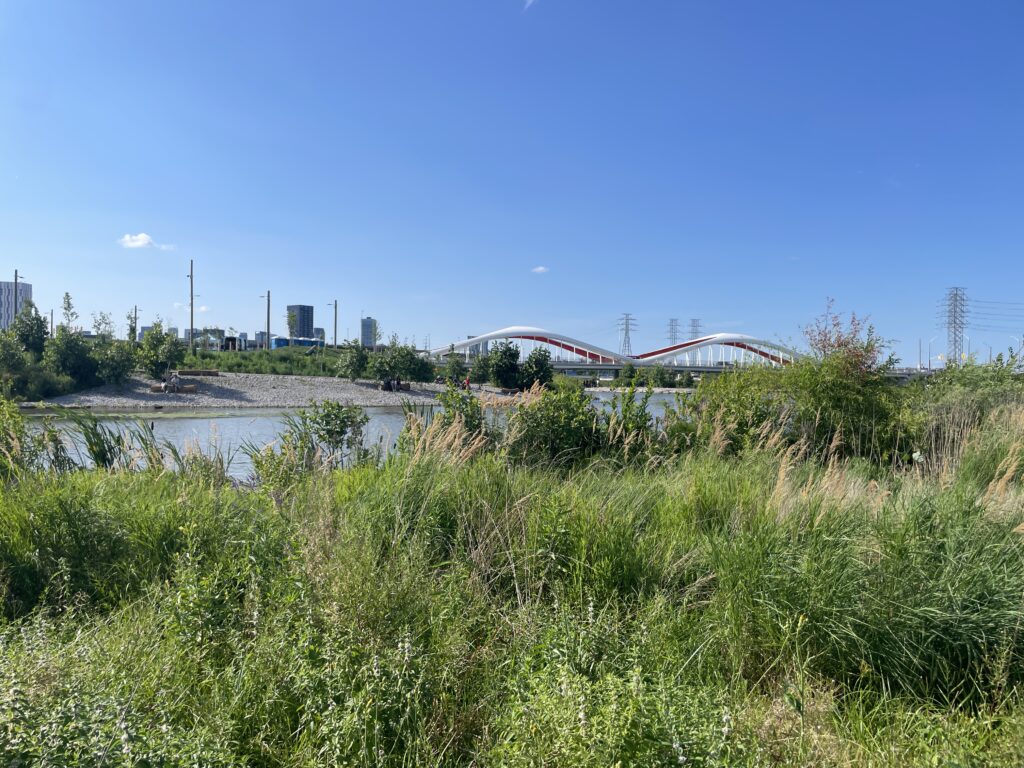 Parc Biidaasige, Port de Toronto, Embouchure de la rivière Don