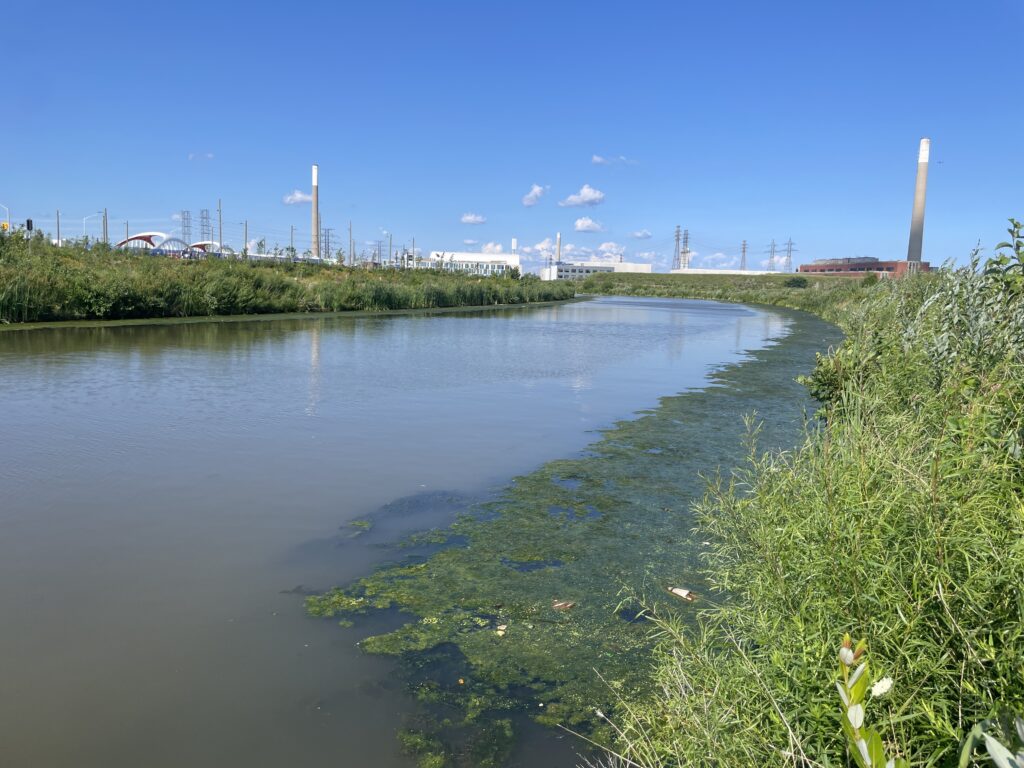 Parc Biidaasige, Port de Toronto, Embouchure de la rivière Don