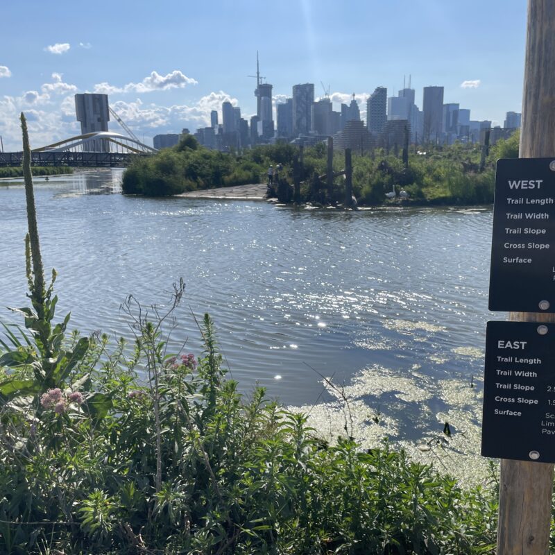 Parc Biidaasige, Port de Toronto, Embouchure de la rivière Don