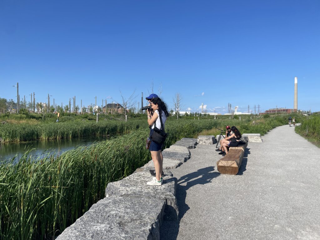 Parc Biidaasige, Port de Toronto, Embouchure de la rivière Don