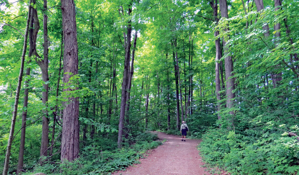 Conservation Ontario, aires naturelles protégées