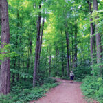 Conservation Ontario, aires naturelles protégées