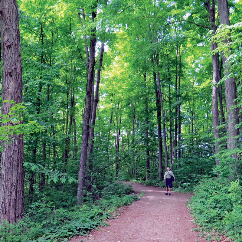 Conservation Ontario, aires naturelles protégées