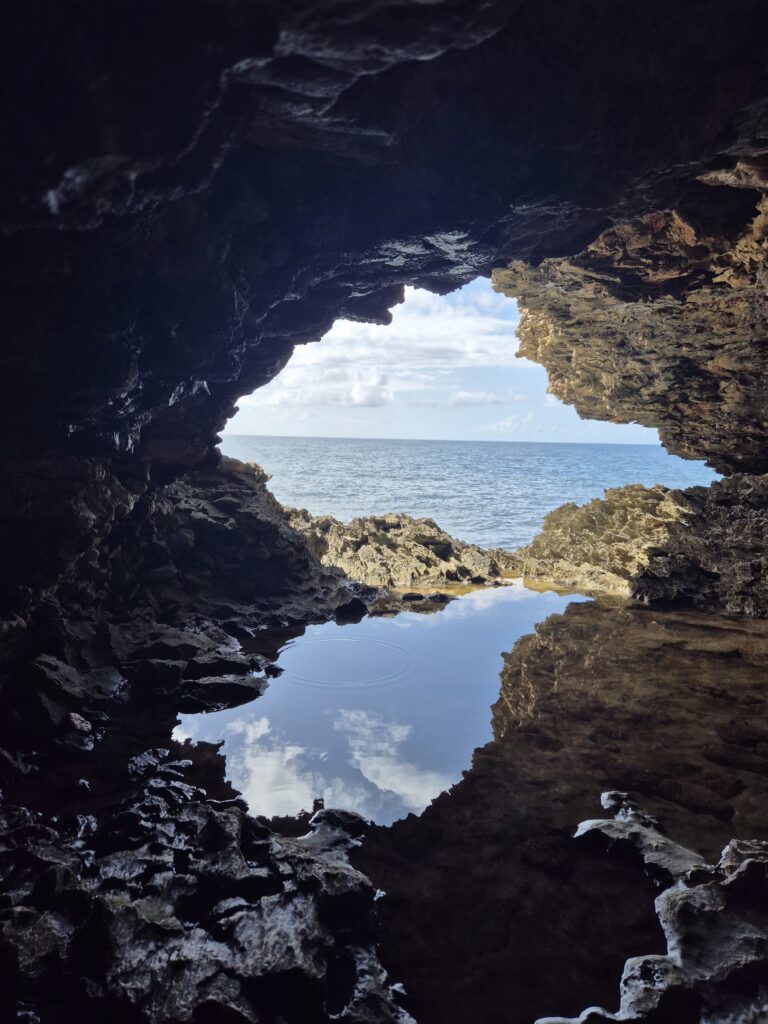 barbade Animal flower Cave