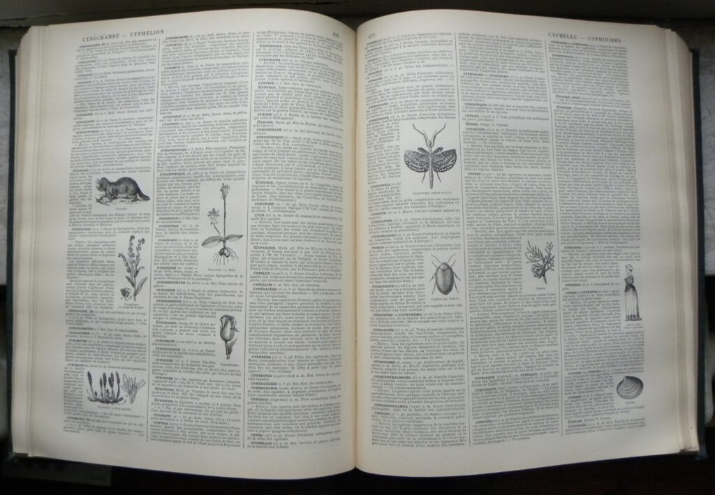 dictionnaires
