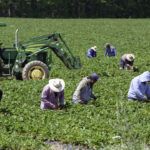 travailleurs étrangers temporaires