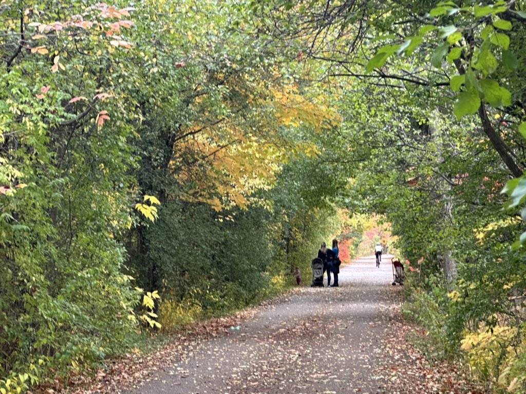 Don Mills Trail, Wilket Creek