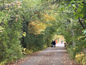 Don Mills Trail, Wilket Creek