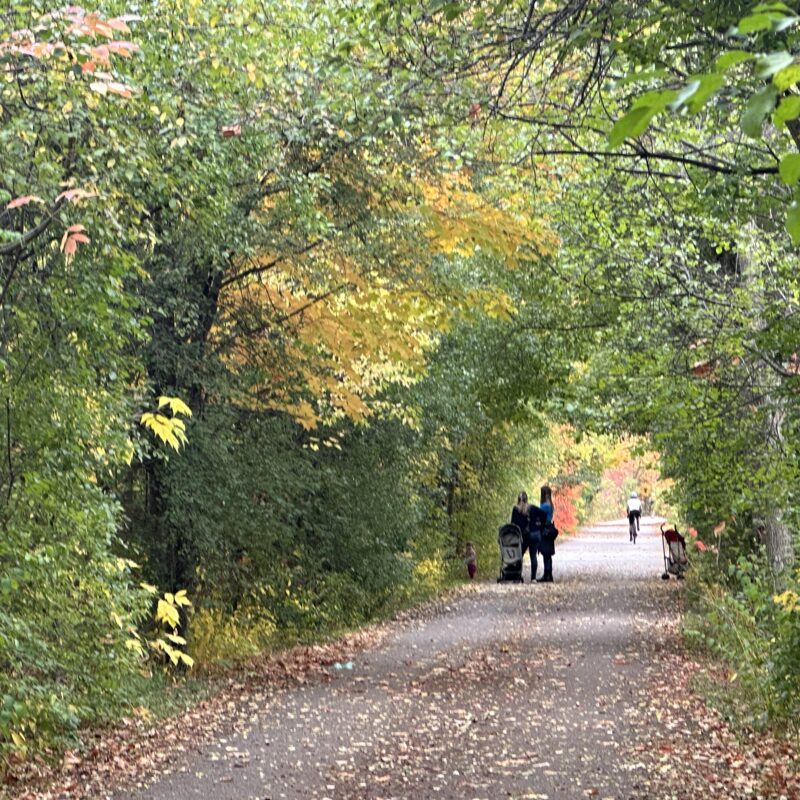 Don Mills Trail, Wilket Creek