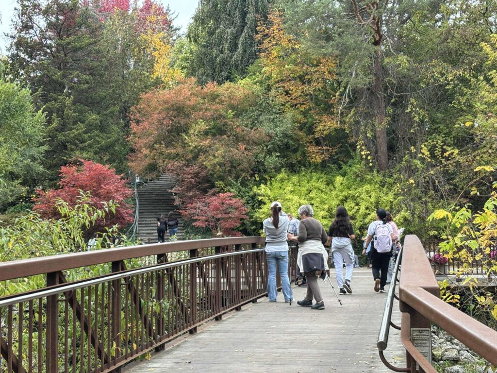 Don Mills Trail, Wilket Creek