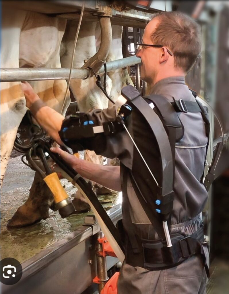 exosquelette