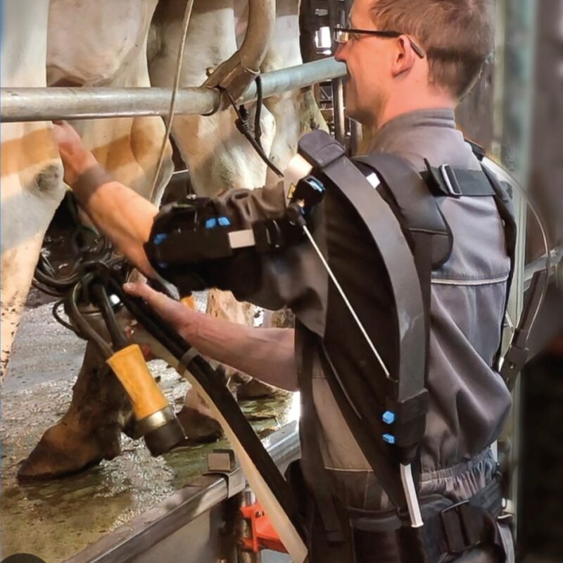 exosquelette
