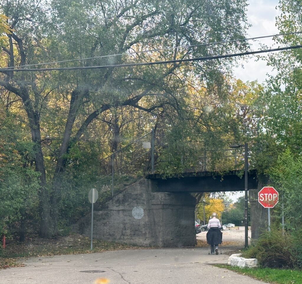Don Mills Trail, Wilket Creek