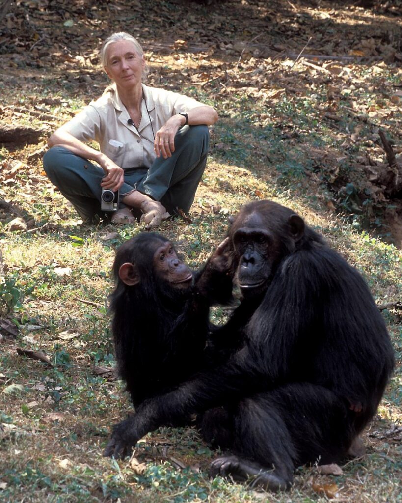 Jane Goodall