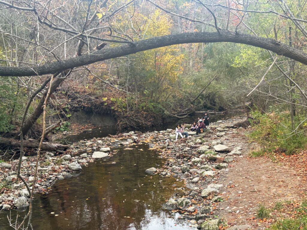 Don Mills Trail, Wilket Creek