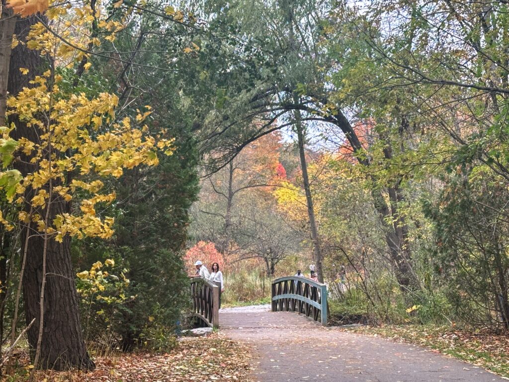 Don Mills Trail, Wilket Creek