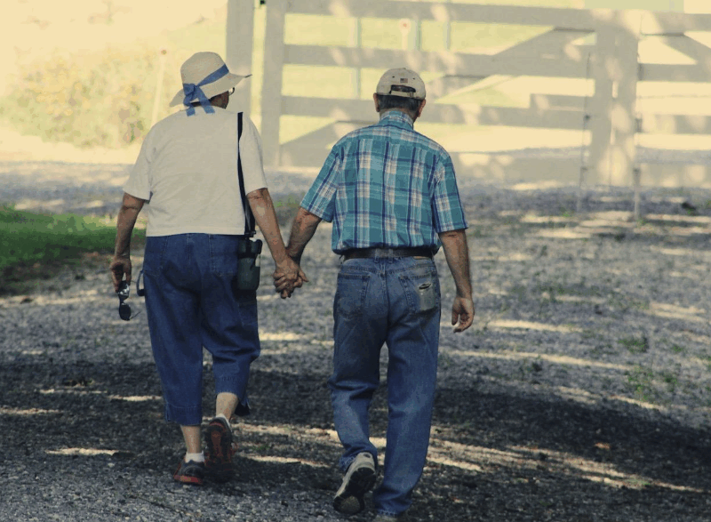 vieux, vieillissement, longévité, espérance de vie