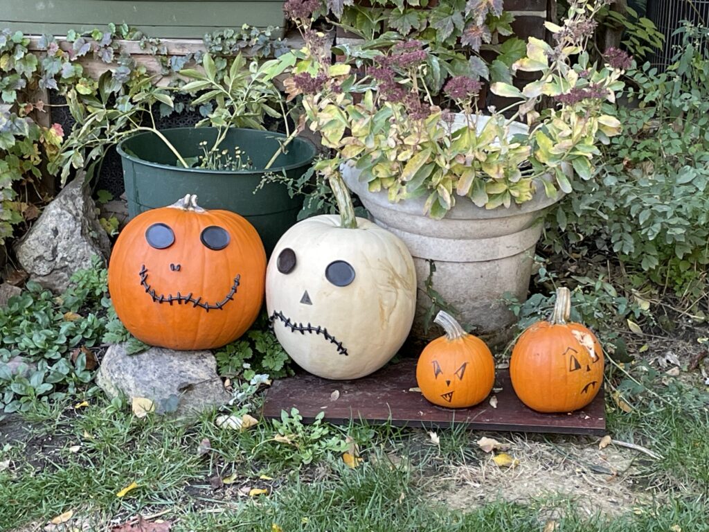 citrouilles