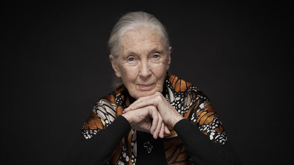 Jane Goodall