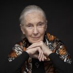 Jane Goodall