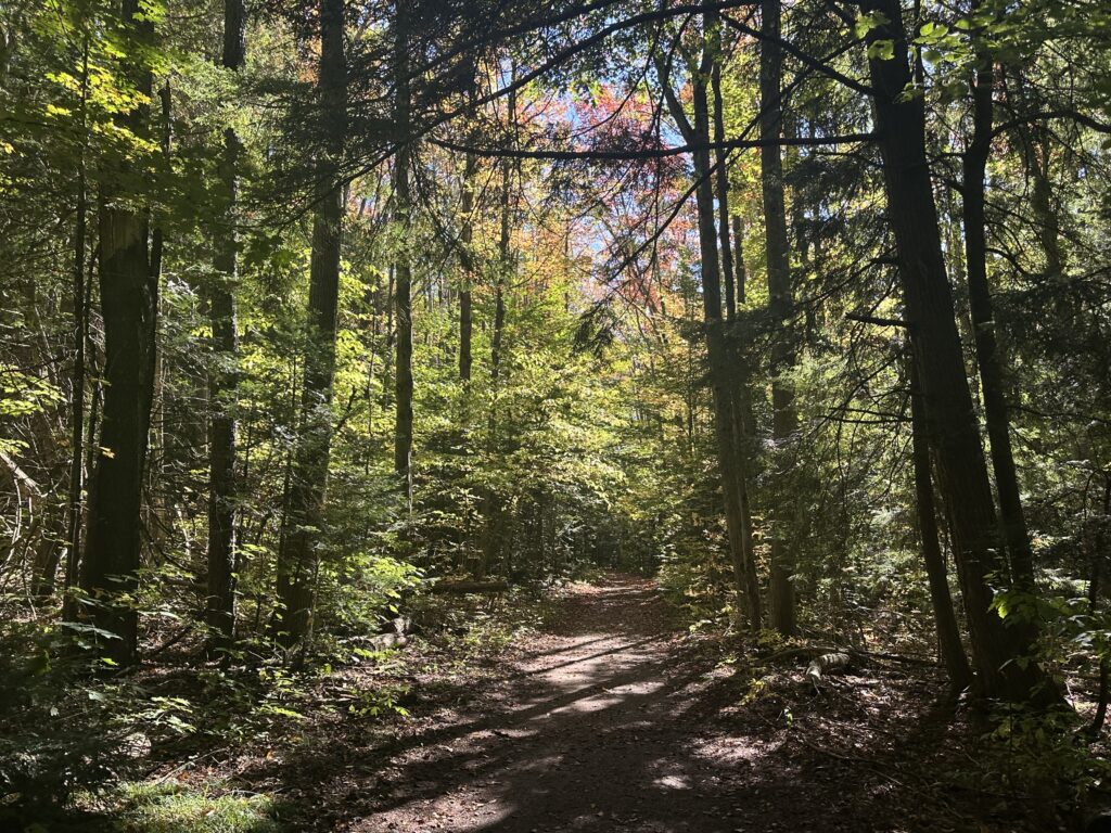 parc Mono Cliffs