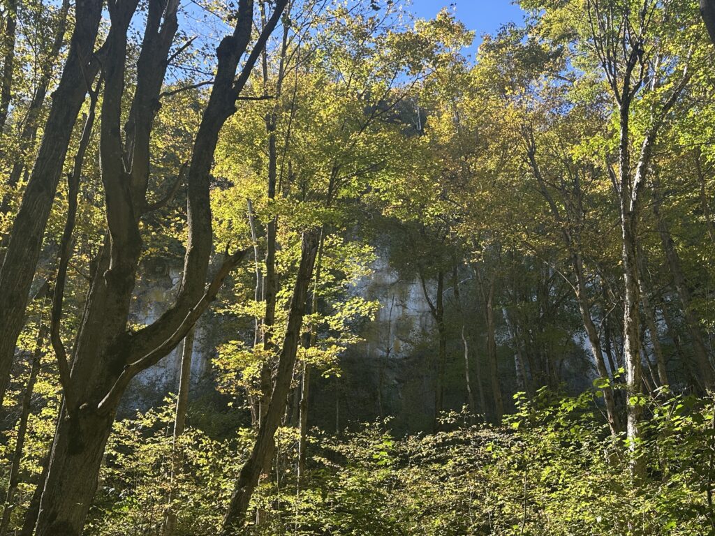parc Mono Cliffs