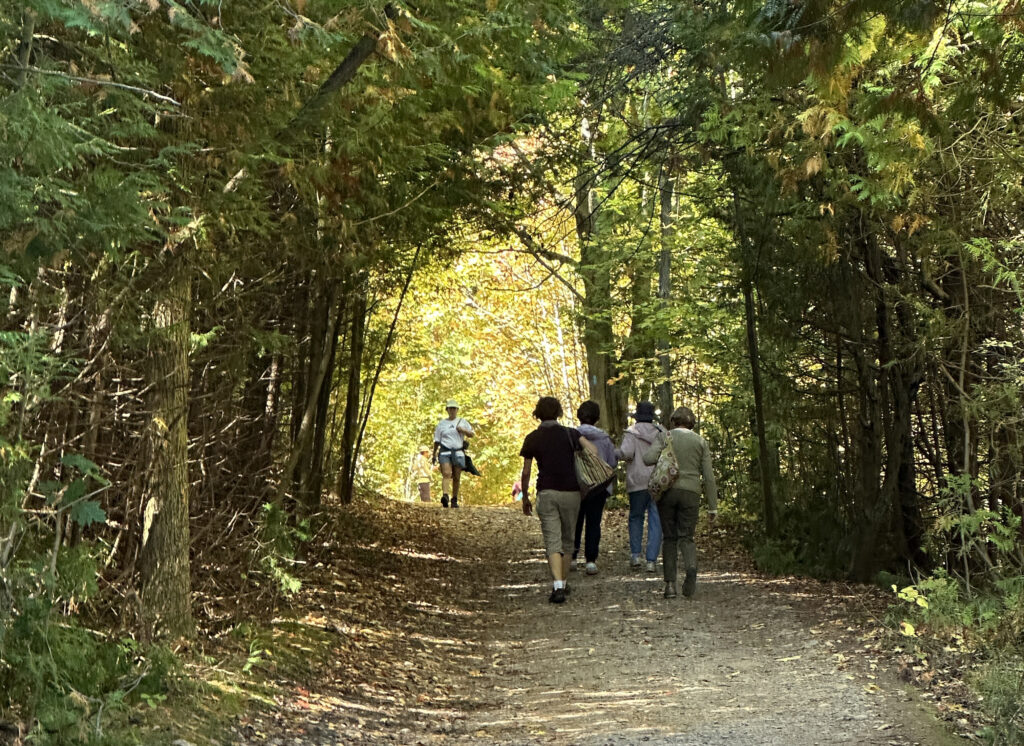 parc Mono Cliffs