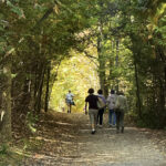 parc Mono Cliffs
