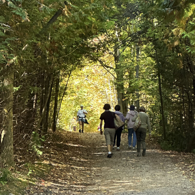 parc Mono Cliffs