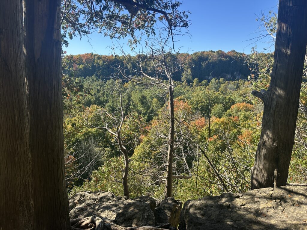 parc Mono Cliffs