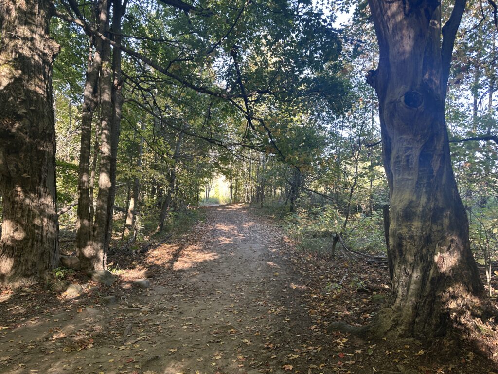 parc Mono Cliffs