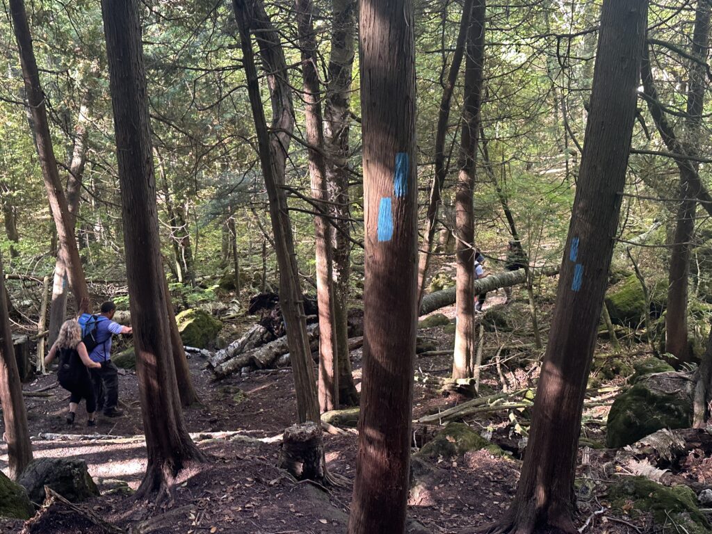 parc Mono Cliffs