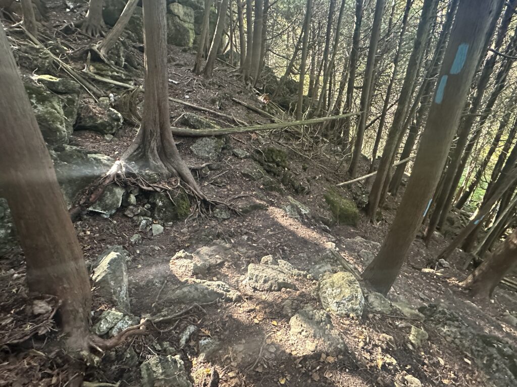 parc Mono Cliffs