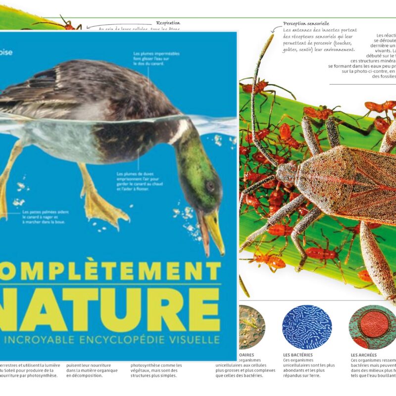 Complètement nature, encyclopédie