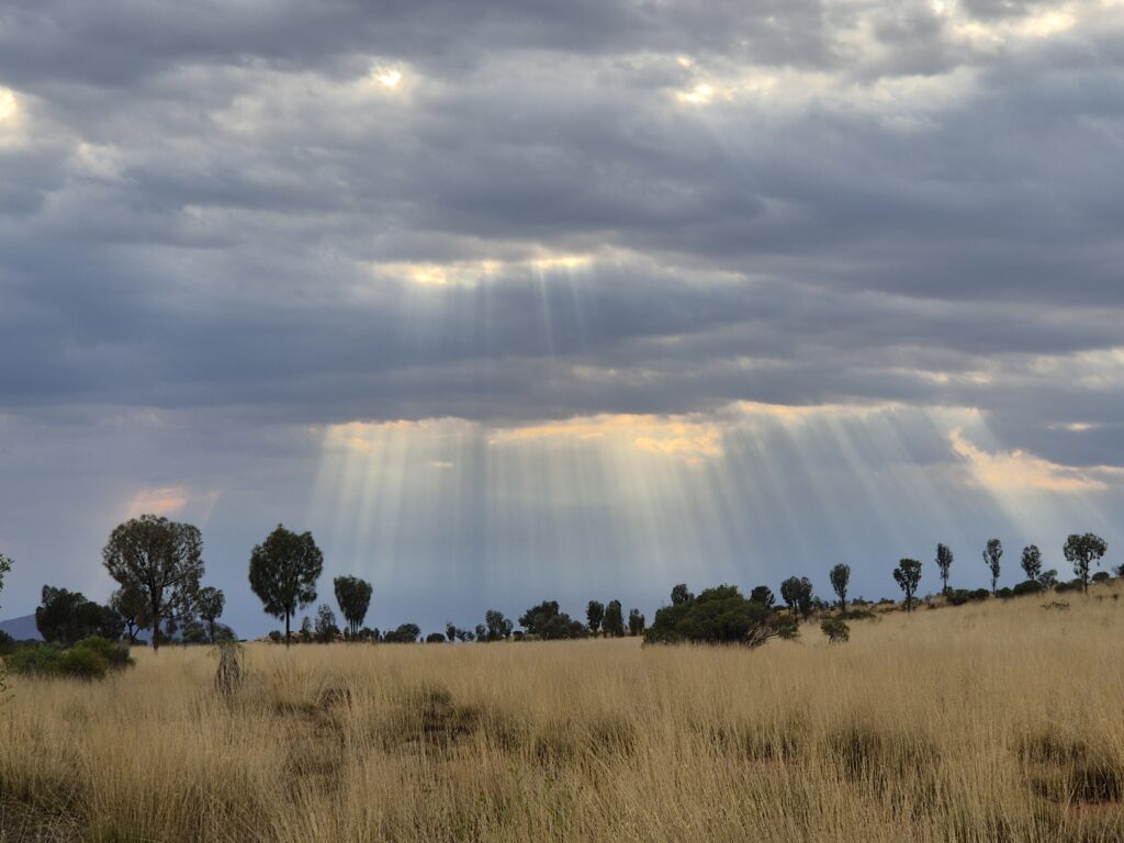 Australie, parc national Uluru-Kata Tjuta