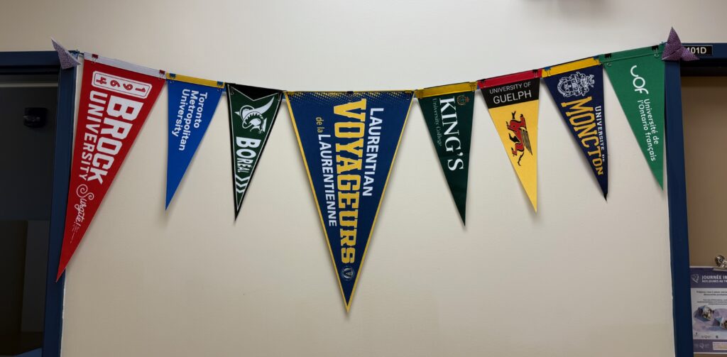 orientation, orienteur