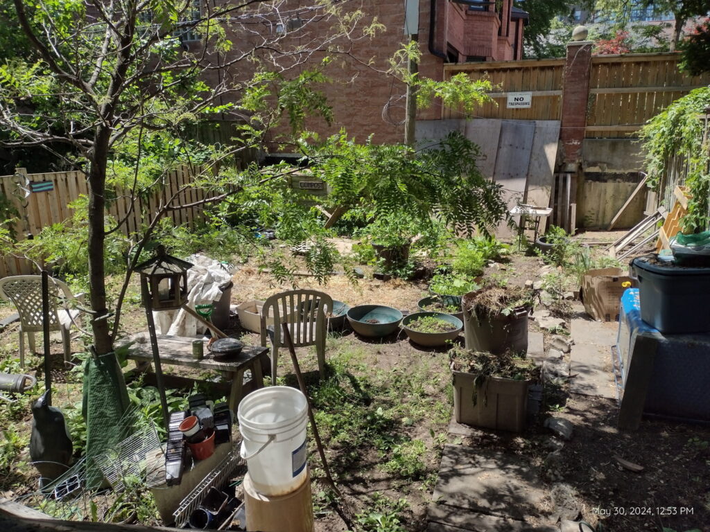 coopératives alimentaires Karma, épiceries coop