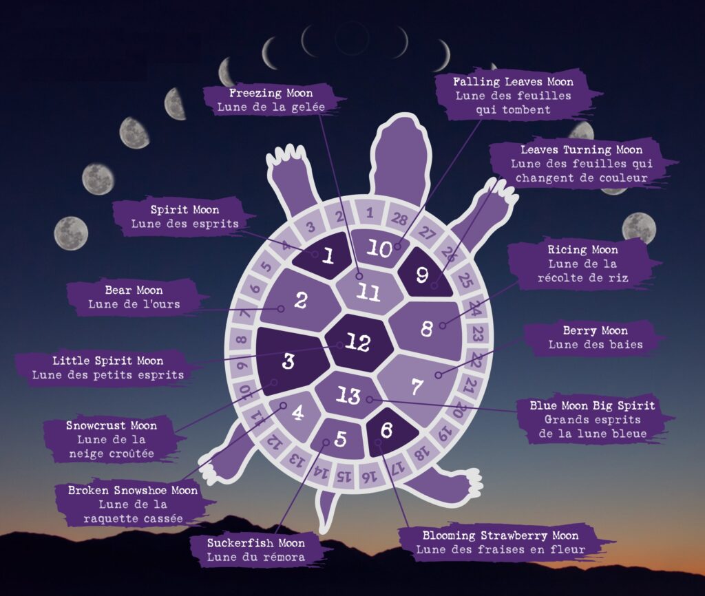 Les Zinspiré.e.s 13, TfT