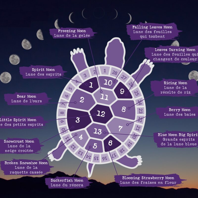 Les Zinspiré.e.s 13, TfT