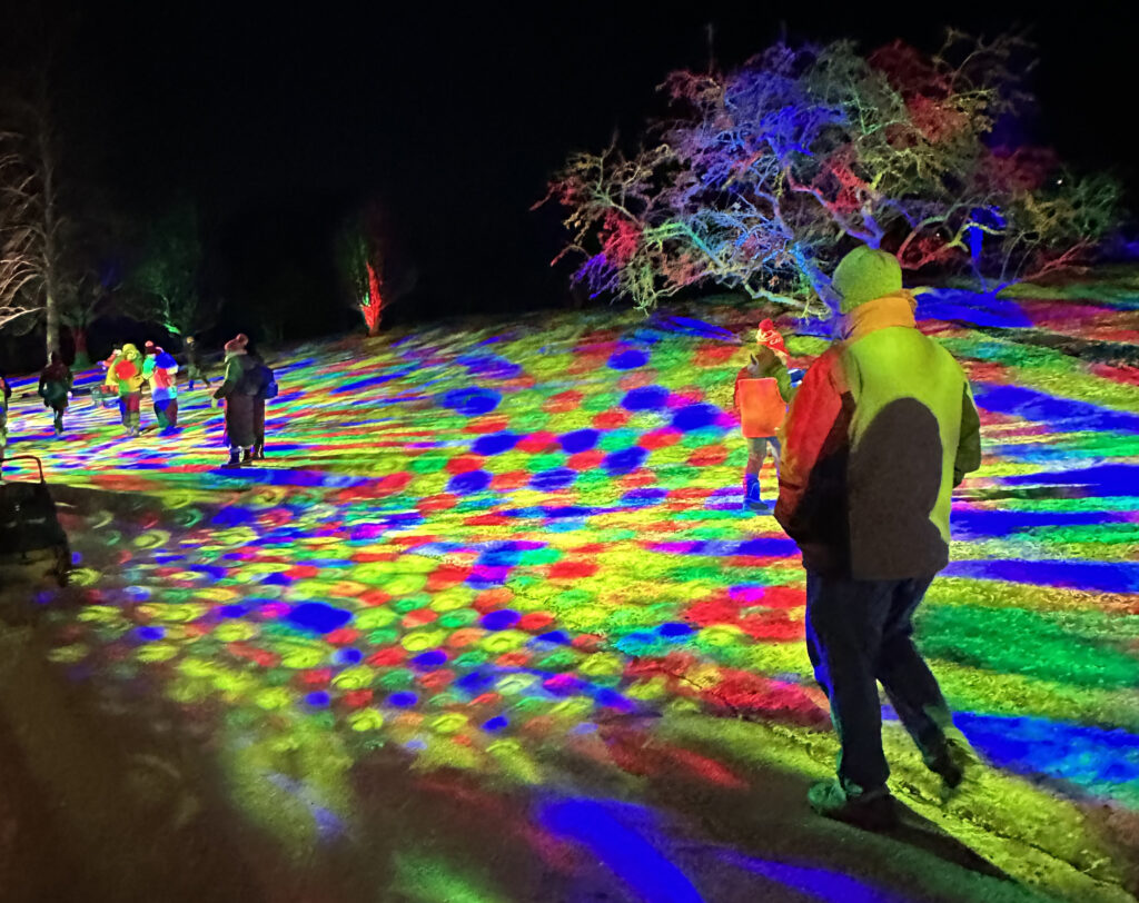 Winter Wonders, Royal Botanical Gardens, Burlington