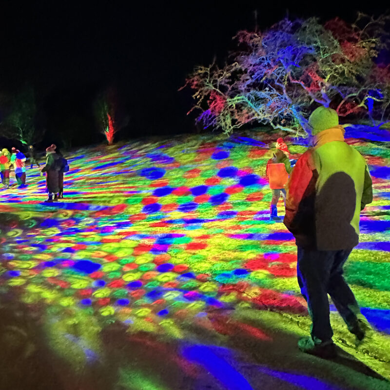 Winter Wonders, Royal Botanical Gardens, Burlington