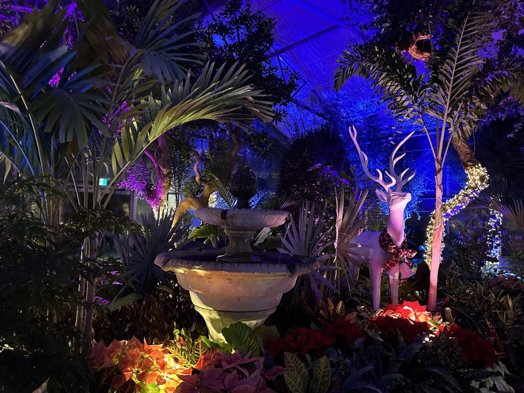 Winter Wonders, Royal Botanical Gardens, Burlington