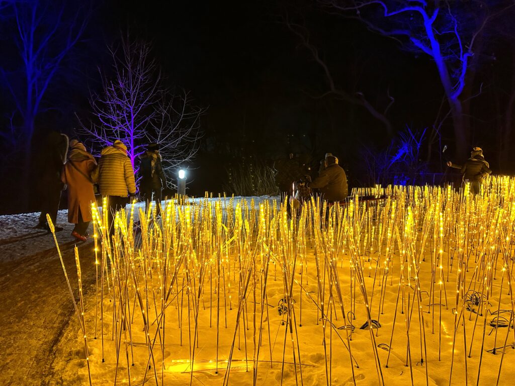 Winter Wonders, Royal Botanical Gardens, Burlington