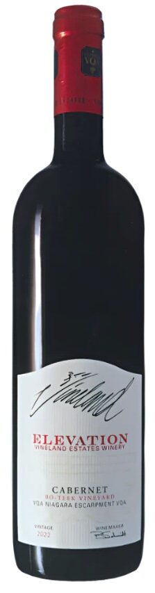 vins, cépages, Cabernet Franc